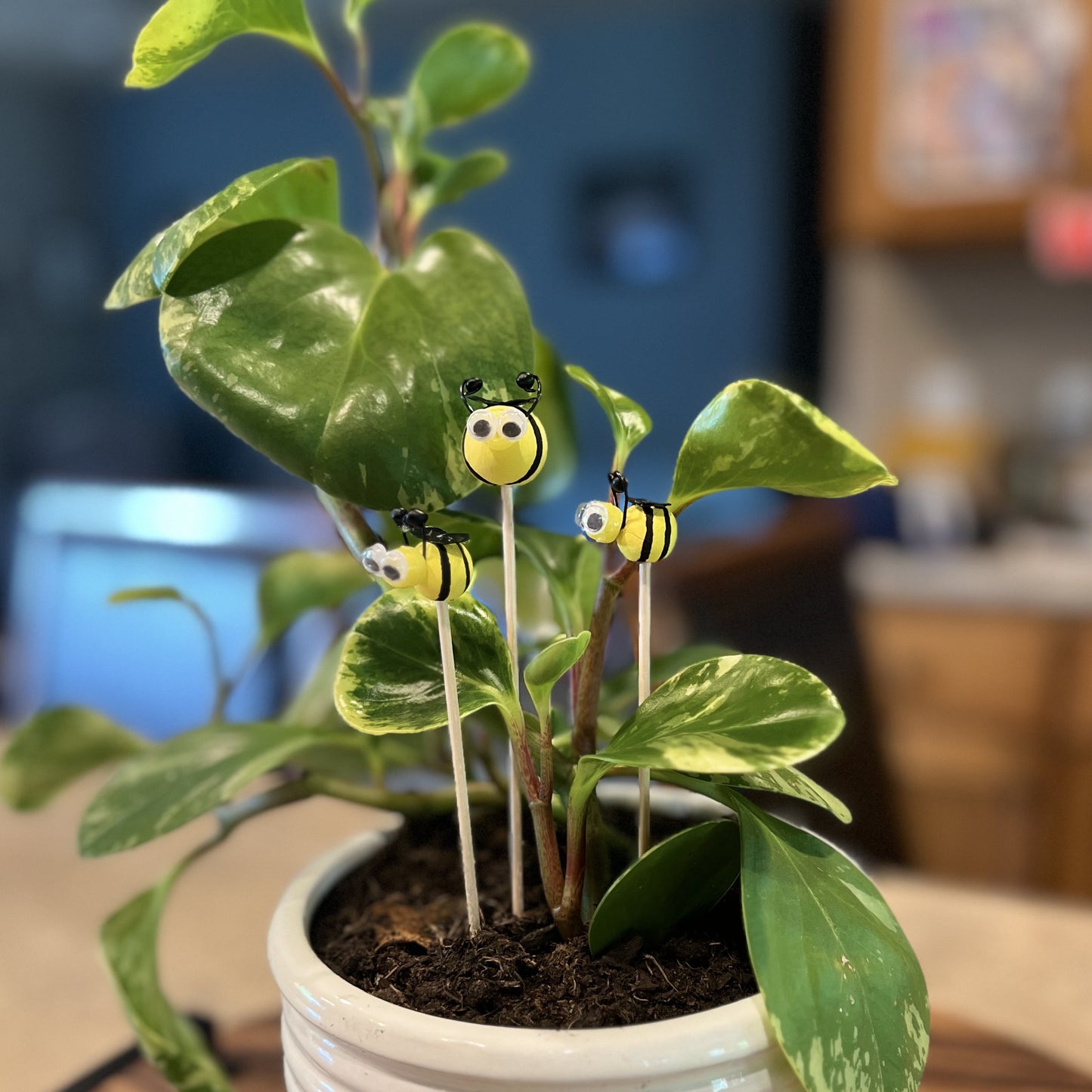 Plant Buddies - Charming Extras for your Indoor Plants or Flower Bouquets