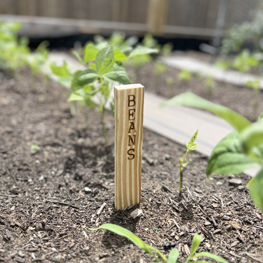 Pine Wood Garden Stakes - Natural Plant Labels for Seed & Garden Organization