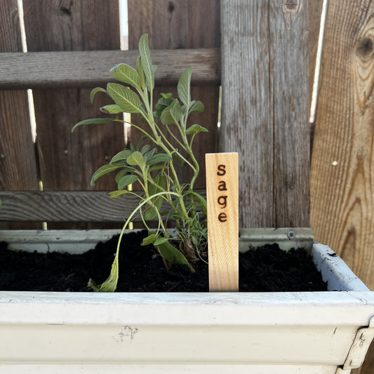 Herb Garden Plant Markers -Eco Friendly Natural Wood Planter Stakes