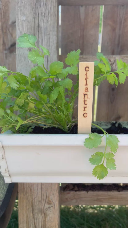 Herb Garden Plant Markers -Eco Friendly Natural Wood Planter Stakes